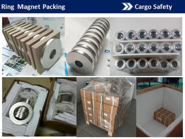 Neodymium speaker magnet rare earth ring magnets