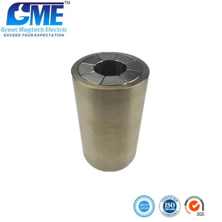 Permanent Neodymium Magnet For Water Pump Motor