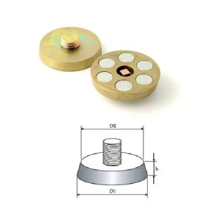 ねじ式ソケットリフティングシステム用の磁気鋼板